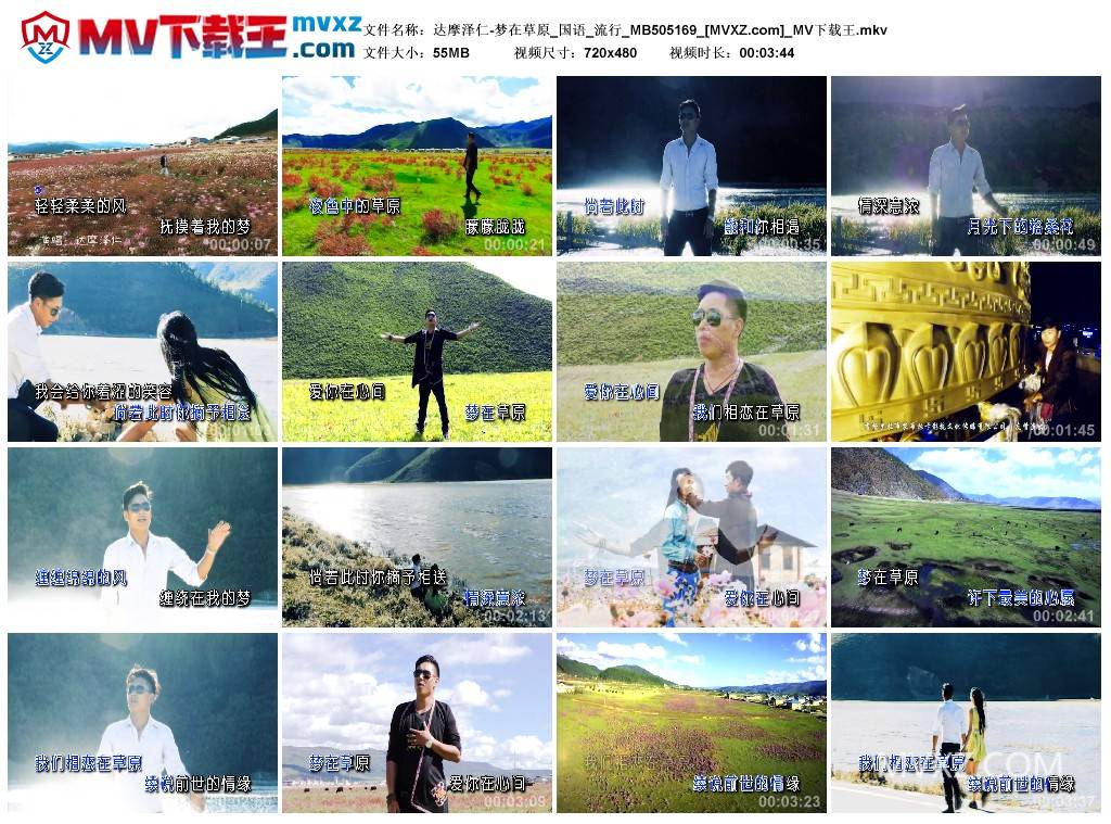 达摩泽仁-梦在草原_国语_流行_MB505169